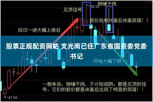 股票正规配资网站 支光南已任广东省国资委党委书记