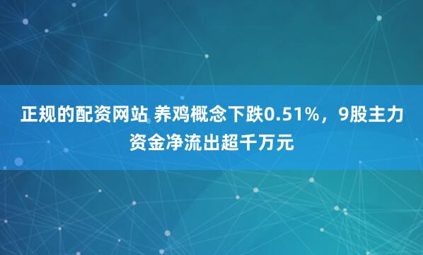 正规的配资网站 养鸡概念下跌0.51%，9股主力资金净流出超千万元