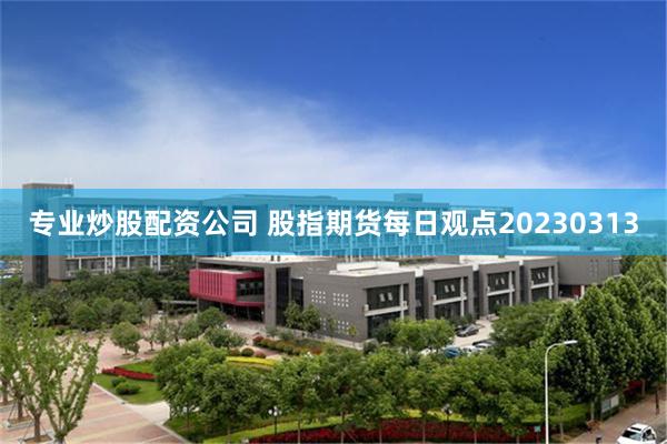 专业炒股配资公司 股指期货每日观点20230313