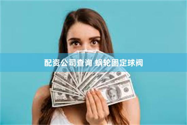 配资公司查询 蜗轮固定球阀