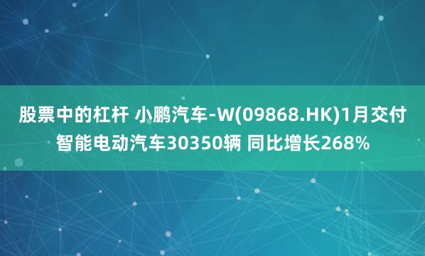 股票中的杠杆 小鹏汽车-W(09868.HK)1月交付智能电动汽车30350辆 同比增长268%