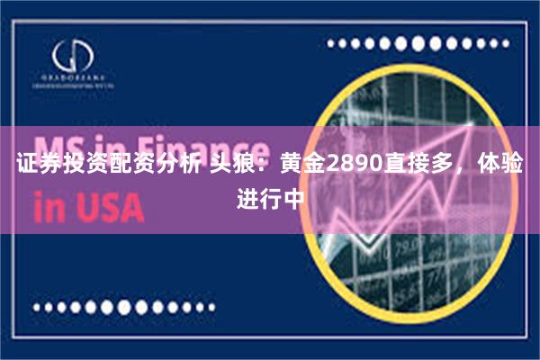 证券投资配资分析 头狼：黄金2890直接多，体验进行中
