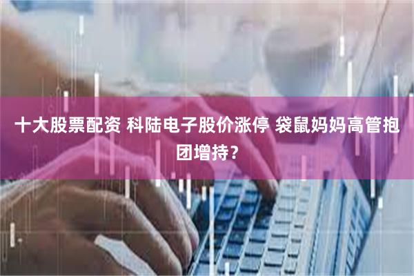 十大股票配资 科陆电子股价涨停 袋鼠妈妈高管抱团增持？