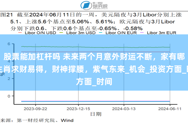 股票能加杠杆吗 未来两个月意外财运不断，家有哪些生肖求财易得，财神撑腰，紫气东来_机会_投资方面_时间
