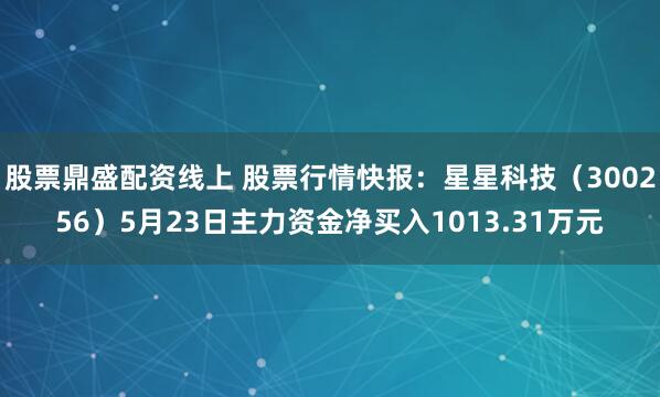 股票鼎盛配资线上 股票行情快报：星星科技（300256）5月23日主力资金净买入1013.31万元