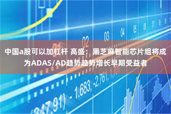 中国a股可以加杠杆 高盛：黑芝麻智能芯片组将成为ADAS/AD趋势趋势增长早期受益者