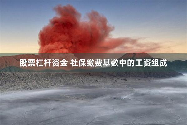 股票杠杆资金 社保缴费基数中的工资组成