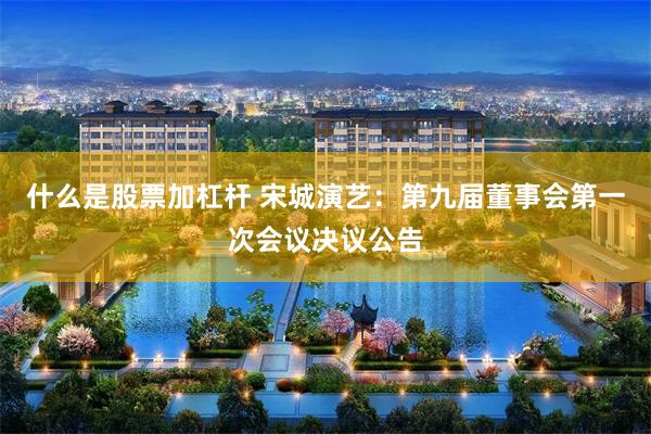 什么是股票加杠杆 宋城演艺：第九届董事会第一次会议决议公告