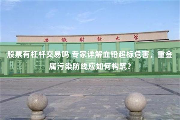 股票有杠杆交易吗 专家详解血铅超标危害，重金属污染防线应如何构筑？