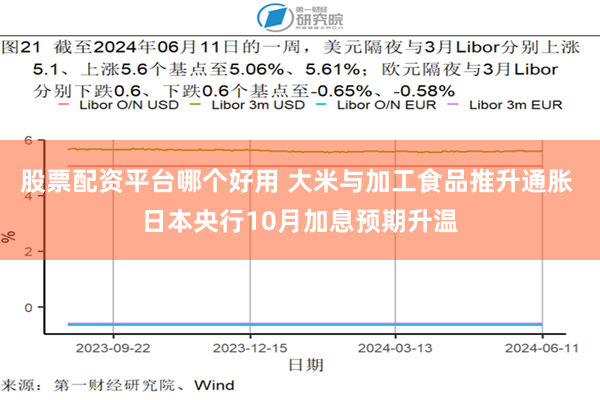 股票配资平台哪个好用 大米与加工食品推升通胀 日本央行10月加息预期升温