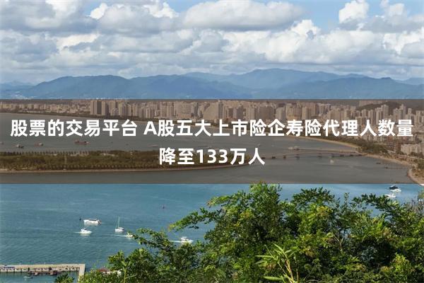 股票的交易平台 A股五大上市险企寿险代理人数量降至133万人