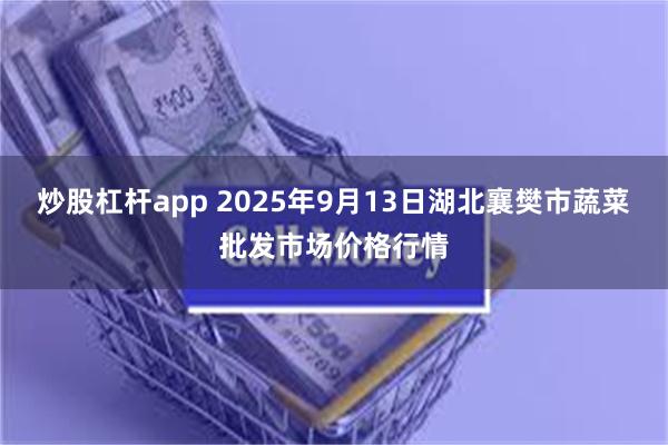 炒股杠杆app 2025年9月13日湖北襄樊市蔬菜批发市场价格行情